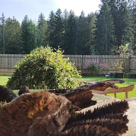 Ferienhaus Hirschberg Hüsle Langen Bei Bregenz